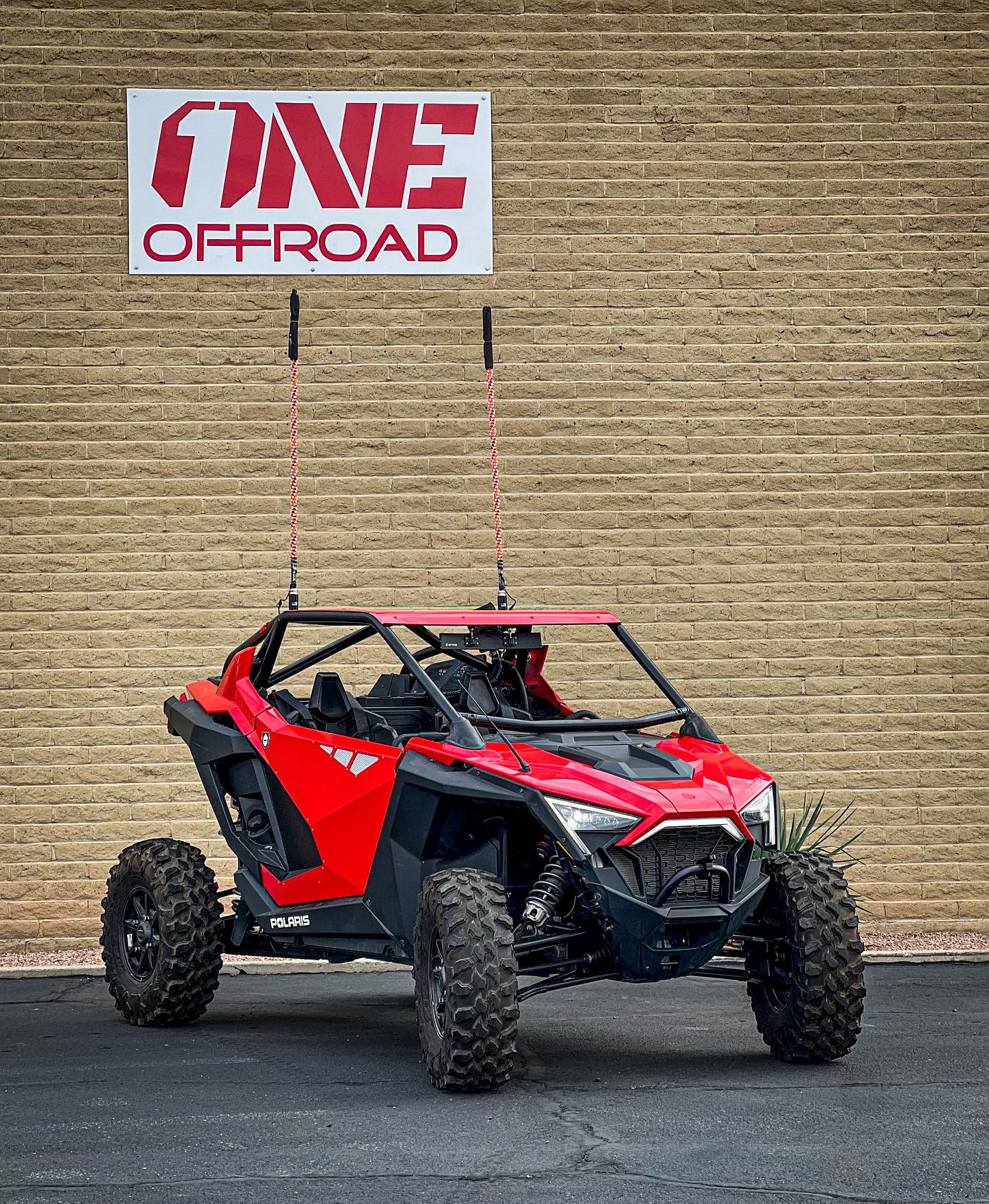 Polaris RZR Pro XP