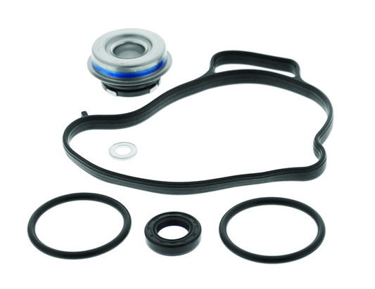 Can-Am Maverick X3 900 HO Water Pump Rebuild Kit